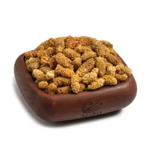 dried-berries