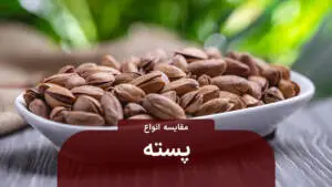 مقایسه انواع پسته هنگام خرید