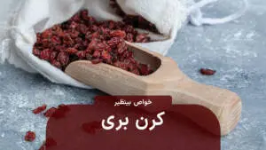کرنبری خشک