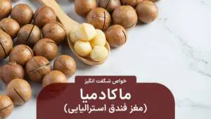 ماکادمیا
