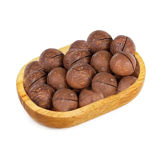 10305 ماکادمیا (فندق استرالیایی)