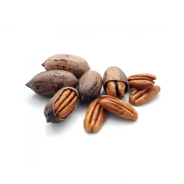 مغز گردو پیکن