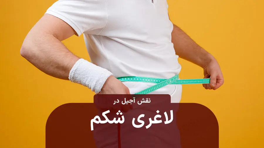 آجیل برای لاغری شکم