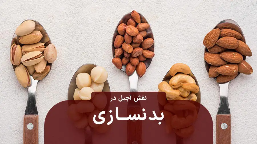 آجیل برای بدنسازی