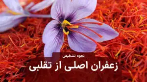 نحوه تشخیص زعفران اصلی از تقلبی