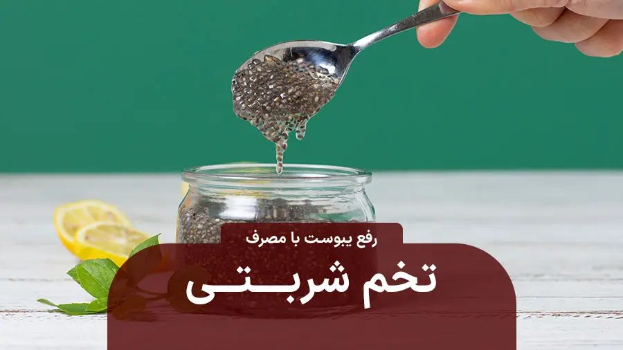خواص تخم شربتی