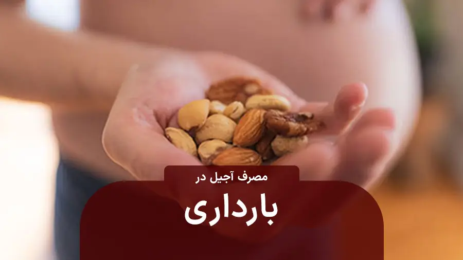 آجیل در بارداری